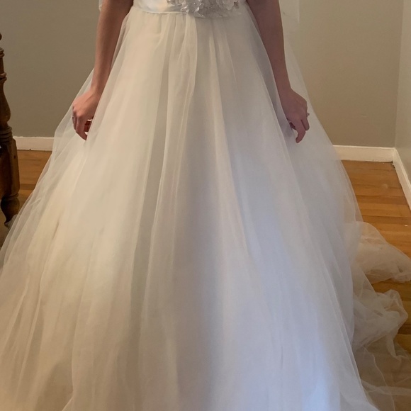 David’s Bridal wedding dress - Picture 7 of 7